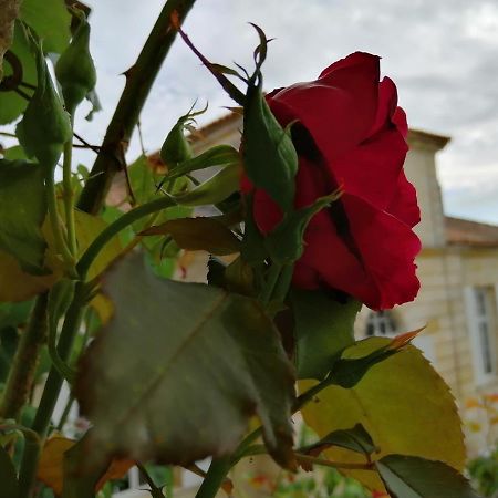 Domaine Du Chauvet Ξενοδοχείο Sainte-Eulalie  Εξωτερικό φωτογραφία